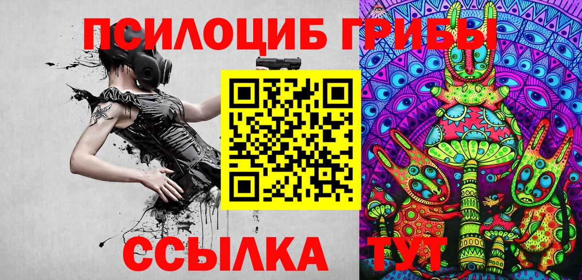 Псилоцибиновые грибы GOLDEN TEACHER Кисловодск