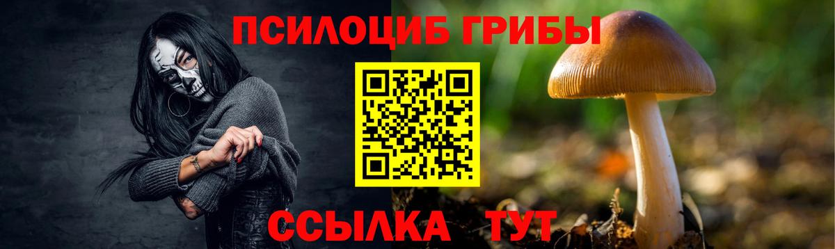Кисловодск  Псилоцибиновые грибы Psilocybine cubensis  Вход с VPN 